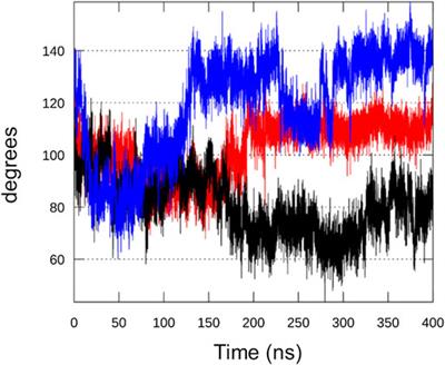 Homology Model of a Catalytically Competent Bifunctional Rel Protein